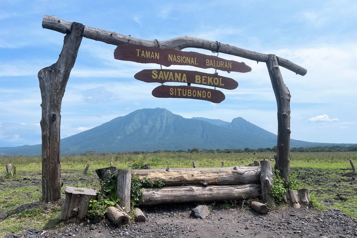 “Taman Nasional Baluran Catat Rekor Kunjungan Wisata Alam 2025, Jadi Primadona Ekowisata Jawa Timur”